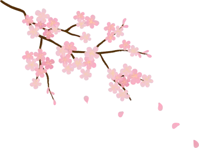 벚꽃