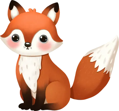 Fox, wild animal, red fox, cute fox