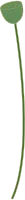 연꽃