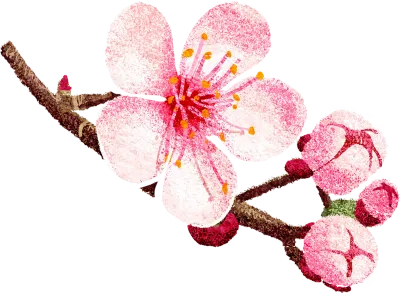 벚꽃