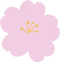 벚꽃 한 송이