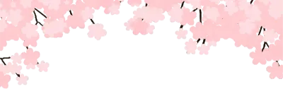 벚꽃