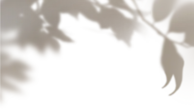 그림자