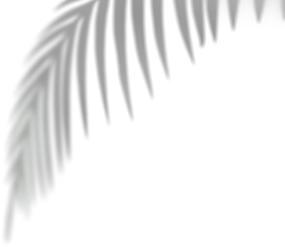 그림자