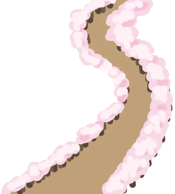 벚꽃