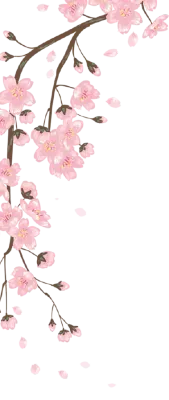 벚꽃
