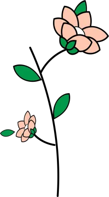 꽃