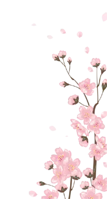 벚꽃