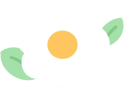 데이지