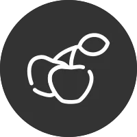 Cherries Icon