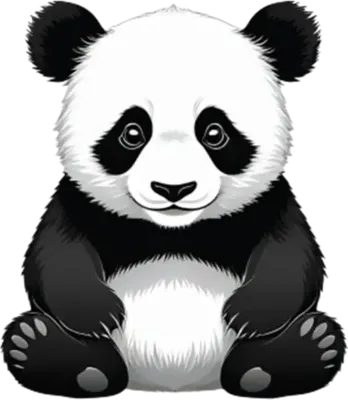 귀여운 아기 팬더 판다 인형