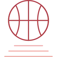 Basketball Icon