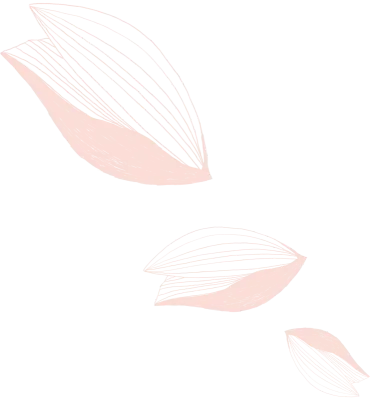 벚꽃