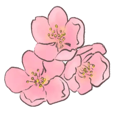 벚꽃