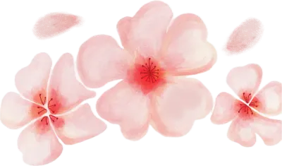 벚꽃 이미지, 꽃 이미지