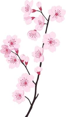 벚꽃
