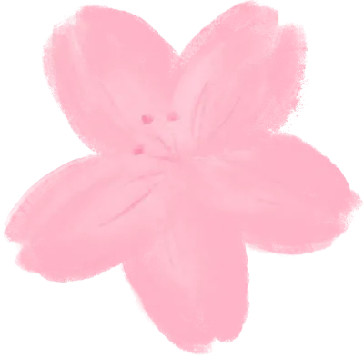 벚꽃