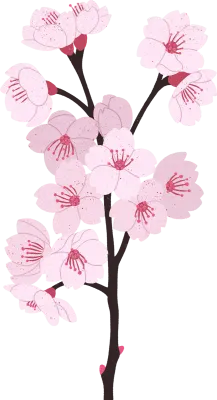 벚꽃
