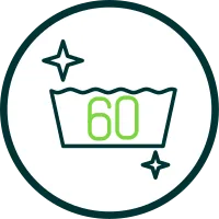 60 Icon