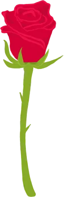 장미