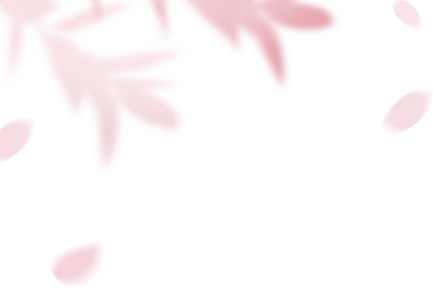 그림자