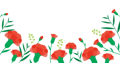 카네이션6