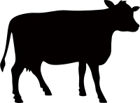 소