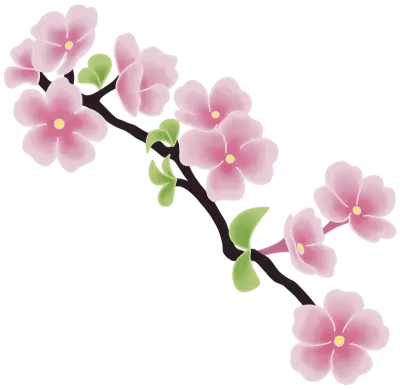 벚꽃