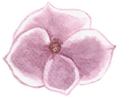Violet Flower, Watercolor Violet Flower, Violet Flower Painting, Classic Violet Flower,Flora Sticker