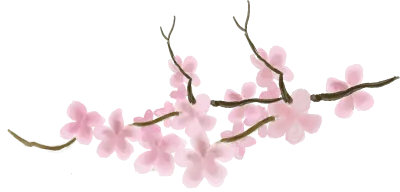벚꽃