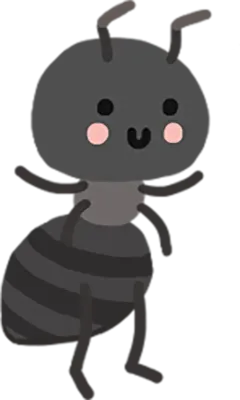 개미