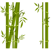 bamboo plant Illustration