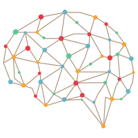 Vector polygonal brain on a white background. Connected lines with dots.
