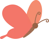나비