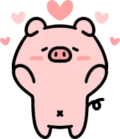 kimd pig 4