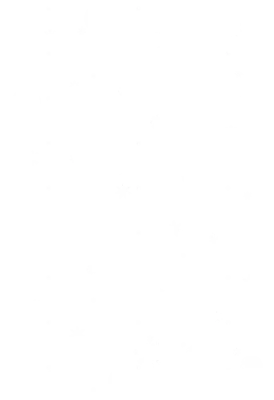 fallingsnow