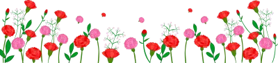 카네이션_A003
