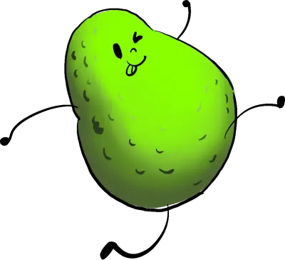 아보카도