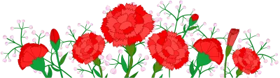 카네이션_A002