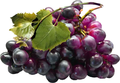 Grape Fruit, Grape, Healthy Fruit