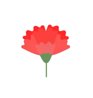 02 카네이션
