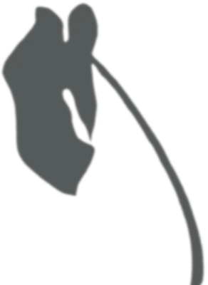 나뭇잎 감성 그림자
