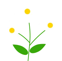 데이지꽃