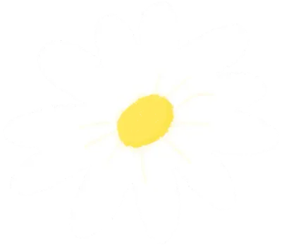 흰색 꽃