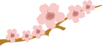 cherry blossom