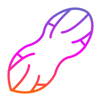 Peanut Icon