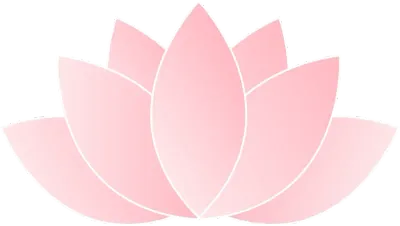 연꽃