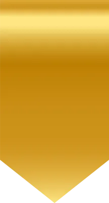 리본