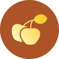 Cherries Icon