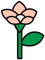 꽃
